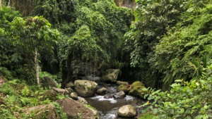 Gunung kawi-1